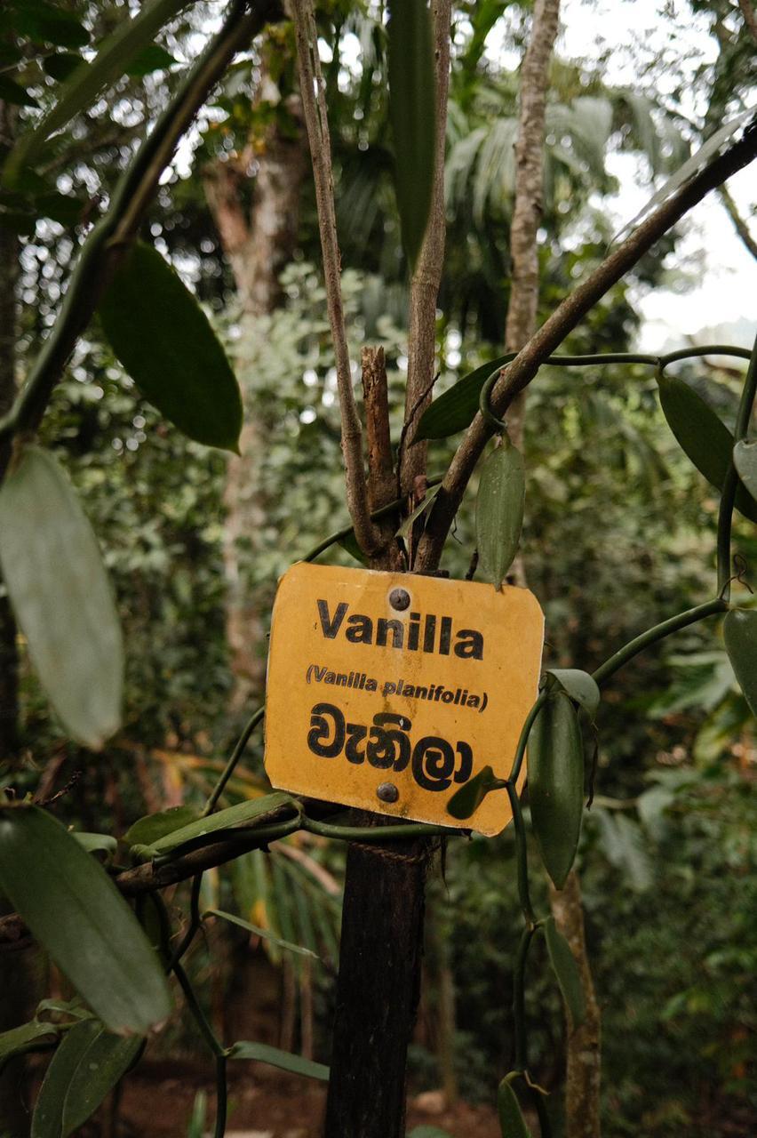 WhatsApp Image 2024-12-16 at 12.54.21 PM